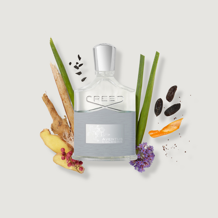 アバントゥス コロン | Aventus Cologne