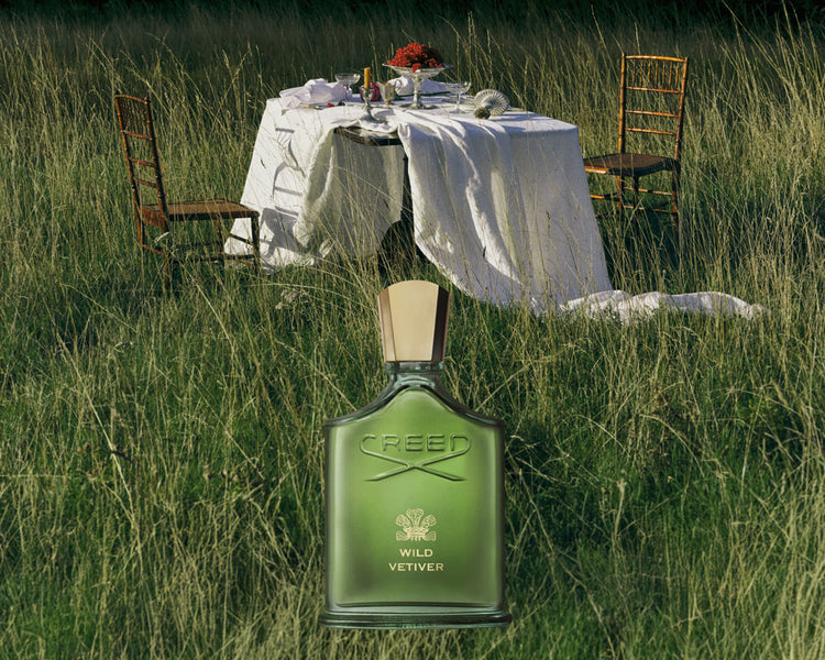 新作｜ワイルド ベチバー