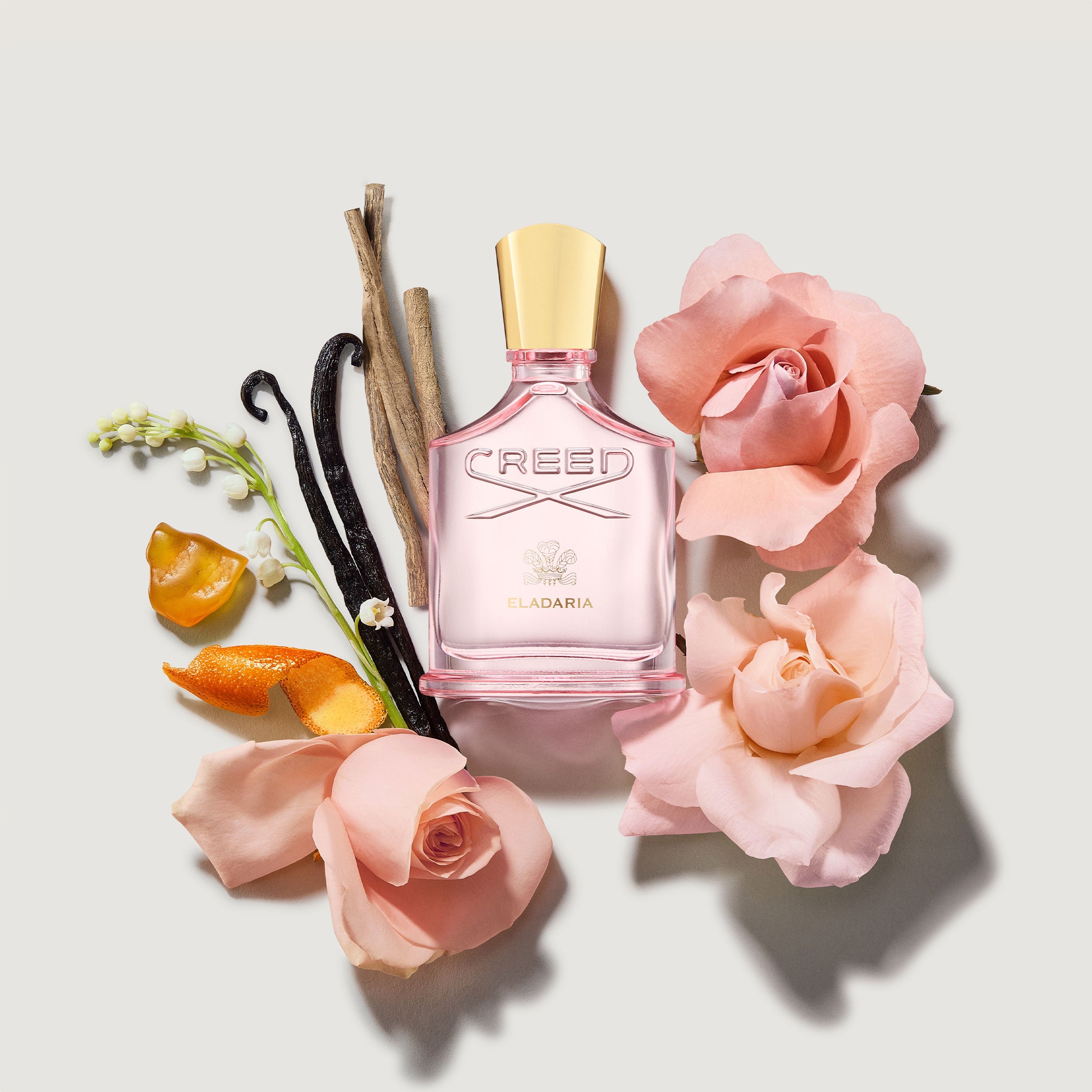 クリード エラダリア CREED ELADARIA 75ml 香水 Eladaria エラダリア | Creed Fragrance JP