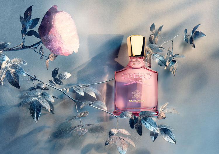 咲き誇る新作｜エラダリア