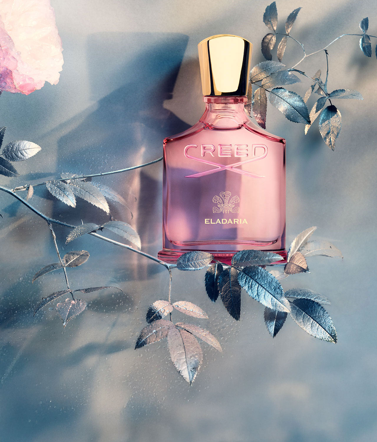 Women's Fragrances and Perfumes | Creed Fragrance UK