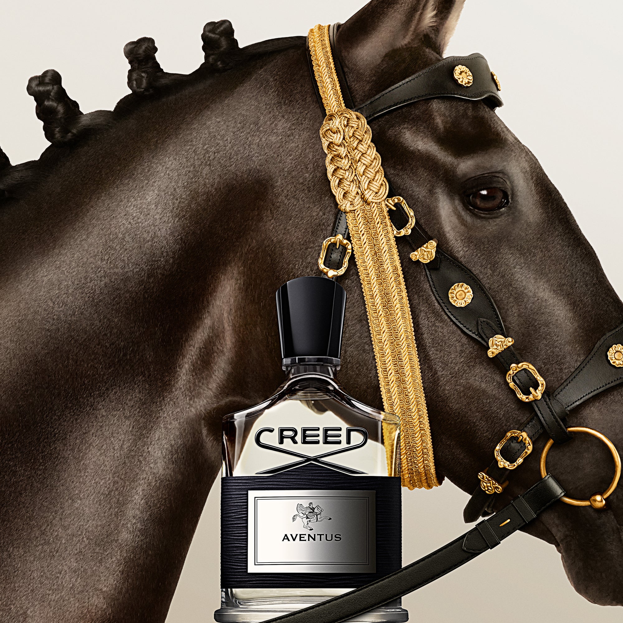 Official Creed Fragrance JP | Luxury Perfume For Men & Women