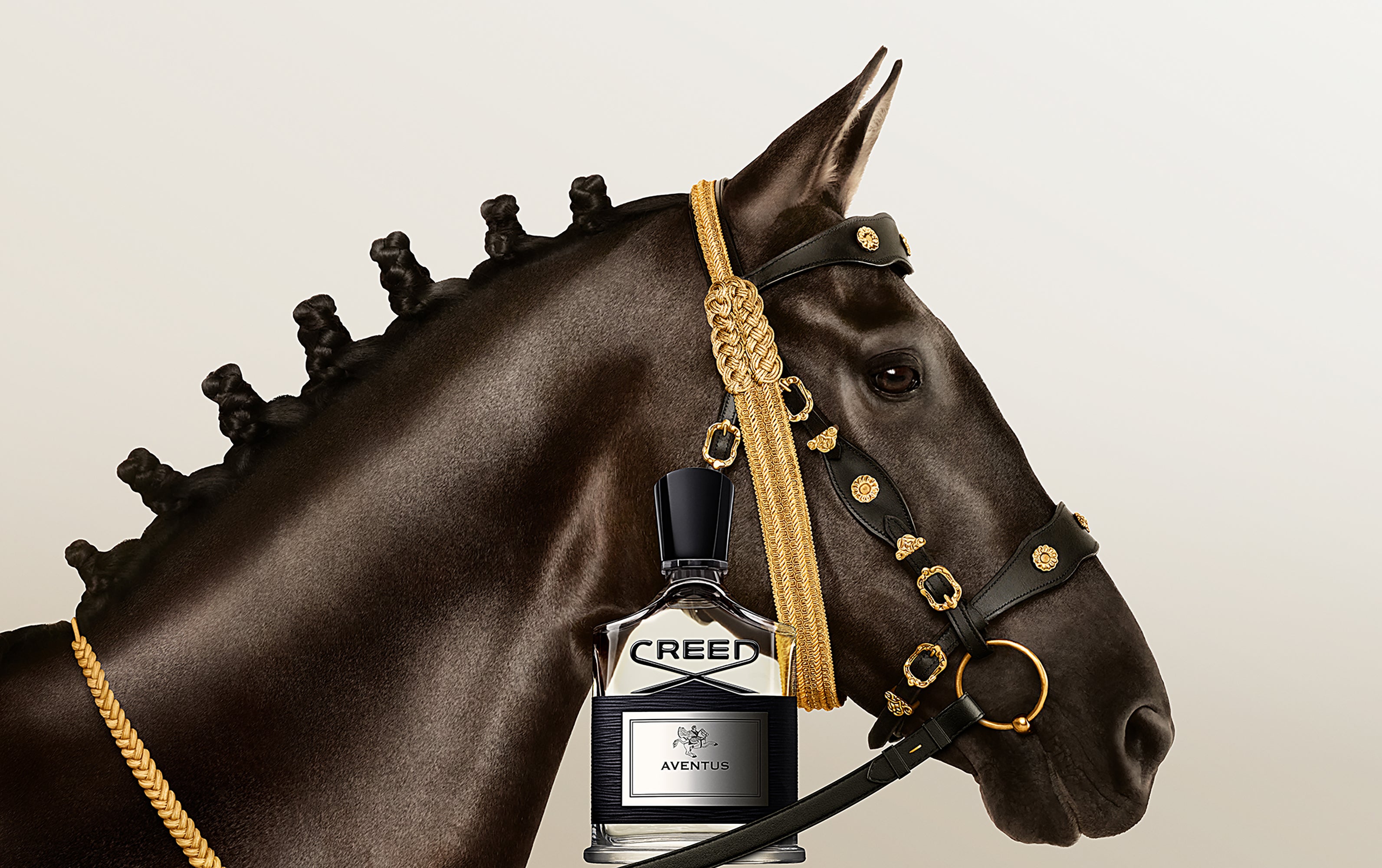 Green Irish Tweed グリーン アイリッ シュ ツィード | Creed Fragrance JP